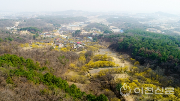 제20회 이천 백사산수유축제가 '봄의 전령사! 모두에게 희망을'이란 주제로 29일 문을 연다.